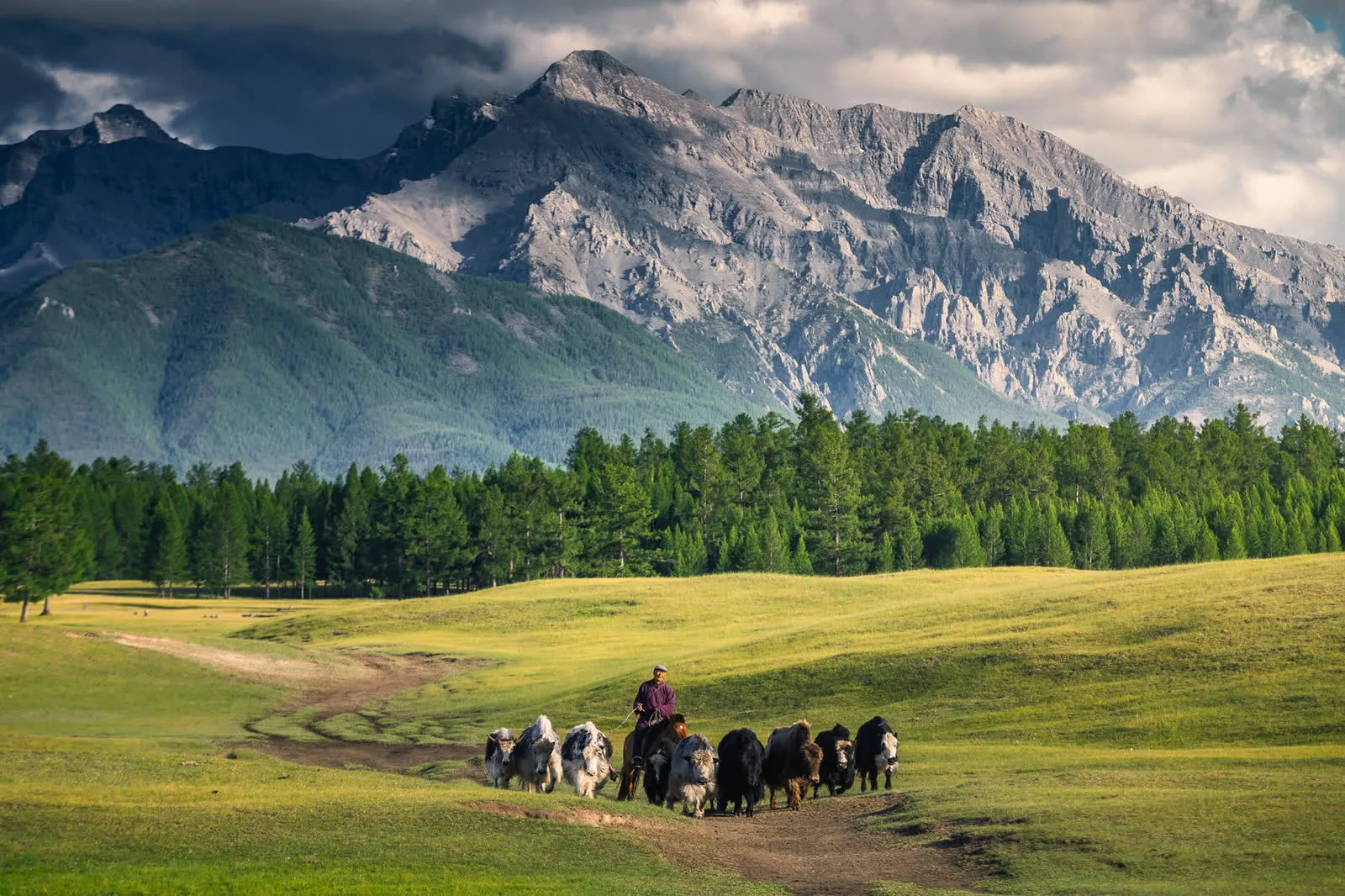 Mongolia — Belcher